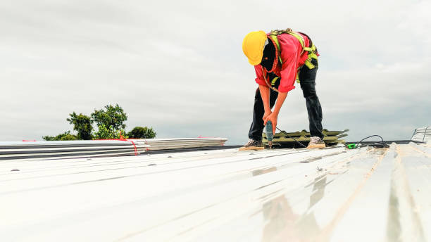 Best Roof Maintenance and Cleaning  in Westmere, NY